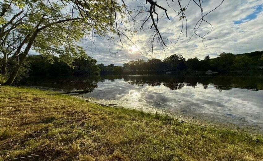 Island Clearing View