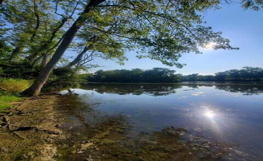 Island River Facing View