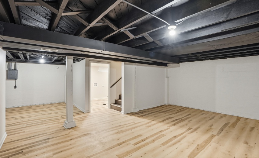 Basement Living Room