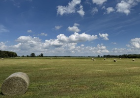 8291 St Rd 55, Lake Village, Indiana, ,Land,For Sale,St Rd 55,NRA832473 8291 St Rd 55, Lake Village, Indiana, ,Land,For Sale,St Rd 55,NRA832473