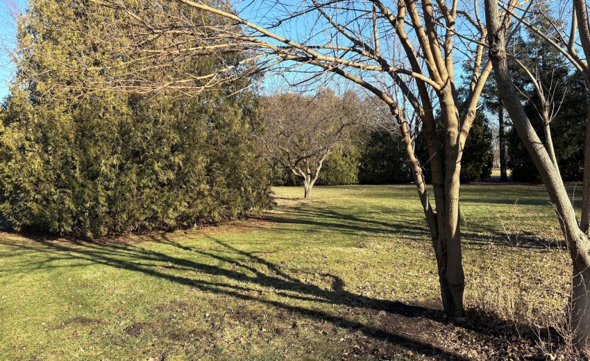 32A75519-003A-4045-9F48-1E96DD4F7DEE