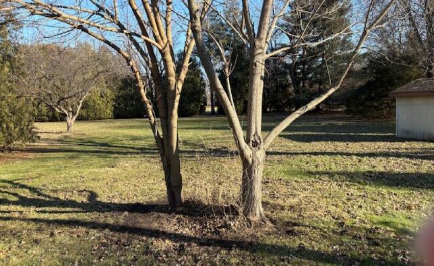 DE79475C-8E67-4C3D-AD5B-5609751E5B44