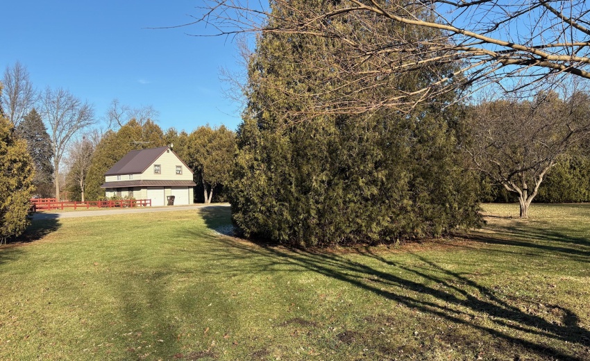 25446B3A-94EE-4F42-BB87-8D10F555A63E (1)