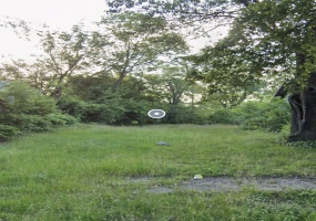 4017 Polk Street, Gary, Indiana, ,Land,For Sale,Polk,NRA832883 4017 Polk Street, Gary, Indiana, ,Land,For Sale,Polk,NRA832883