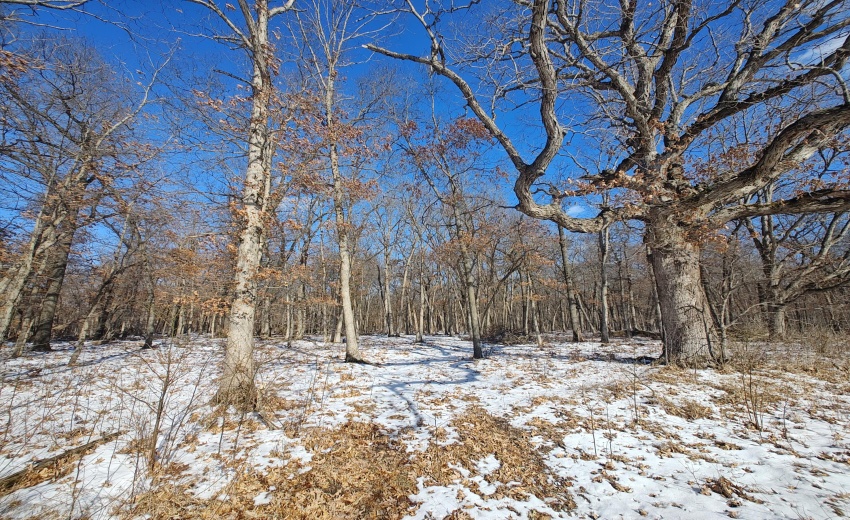 IMG_20260117_122801825