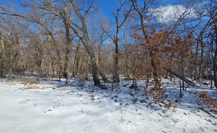 IMG_20260117_122727916