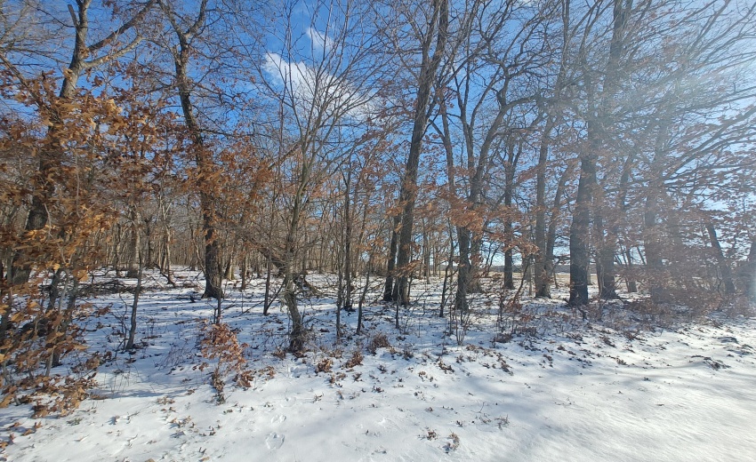 IMG_20260117_122730481