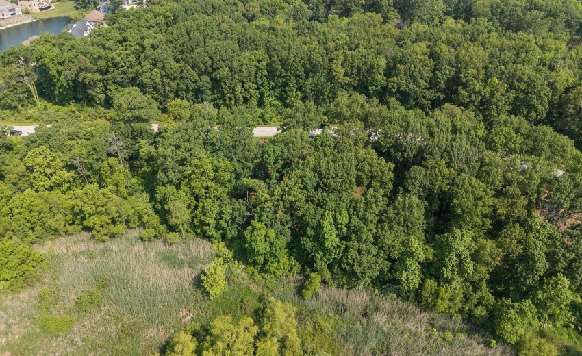 16-web-or-mls-DJI_20250609093953_0740_D