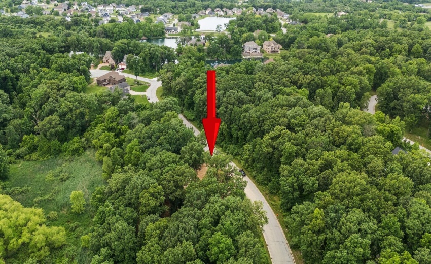 1-web-or-mls-DJI_20250619161128_0102_D (