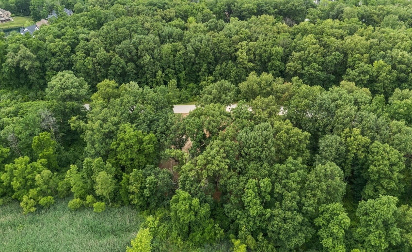 11-web-or-mls-DJI_20250619161111_0101_D