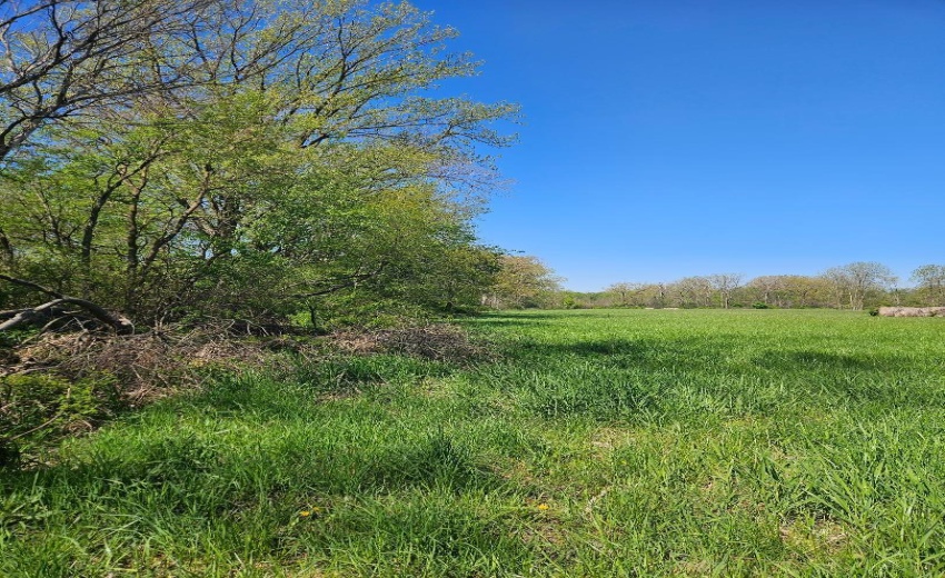spring 3