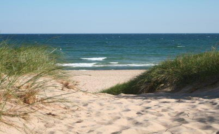 12141517_10153274542196733_7106374319514