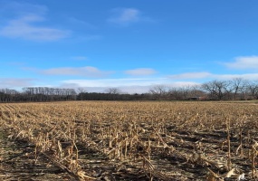 0 200, Westville, Indiana, ,Land,For Sale,200,NRA833093 0 200, Westville, Indiana, ,Land,For Sale,200,NRA833093