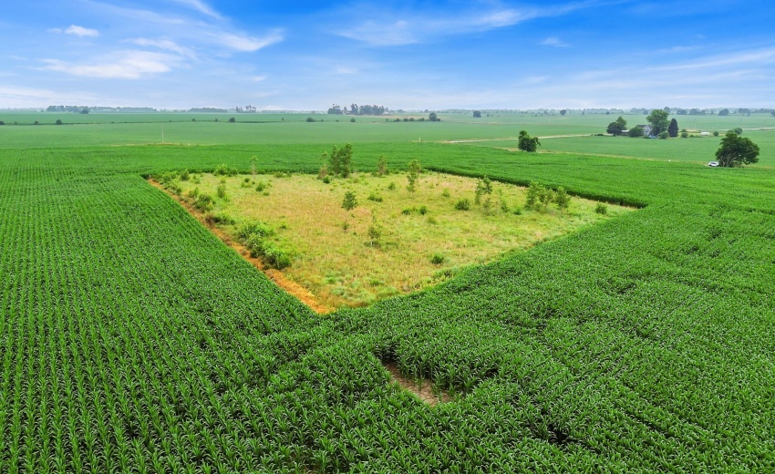 95B5897C-44C6-4372-A308-9C6564DB427E