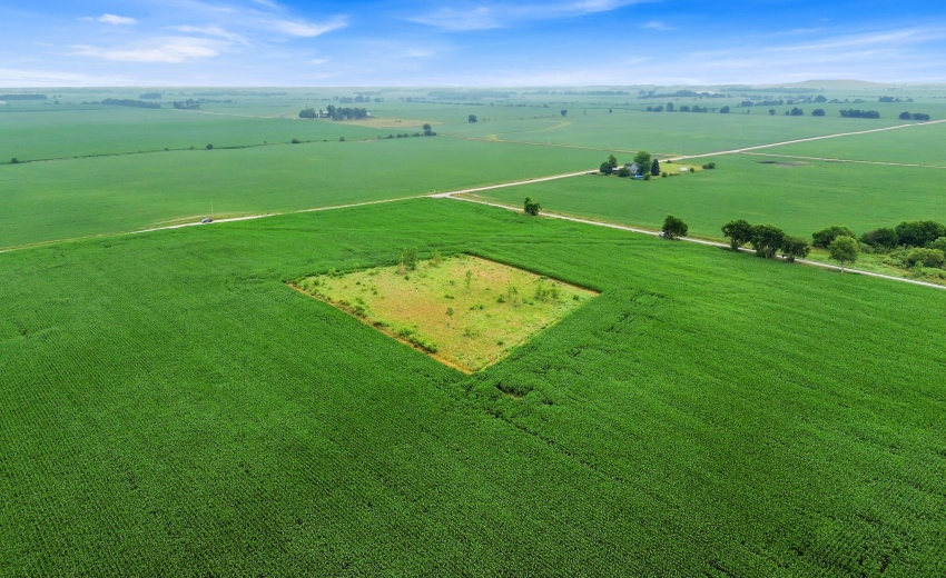 E8C44F95-9A52-4201-BB63-617E6FCB6D65