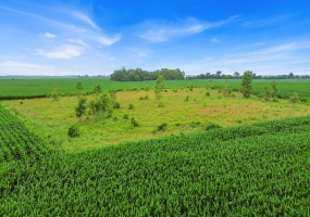 600 S 125, Brook, Indiana, ,Land,For Sale,125,NRA833124