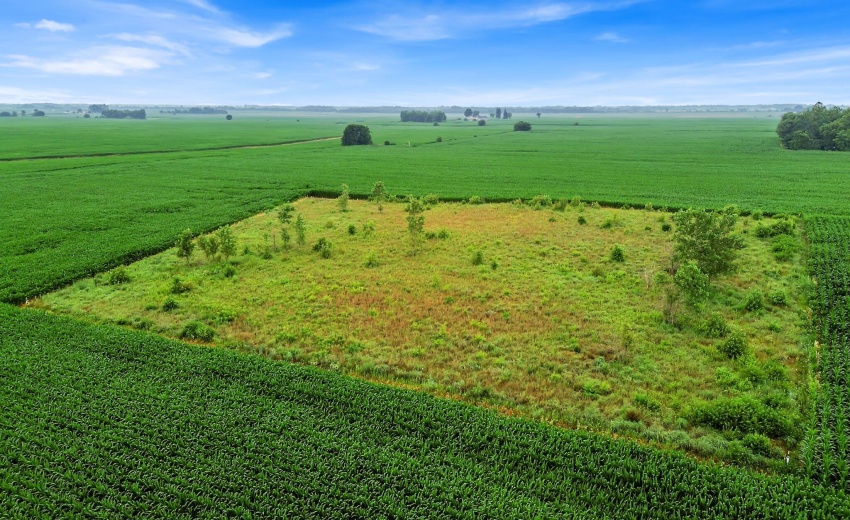 1FEDD443-BE62-46BF-BFEE-FF805670E006