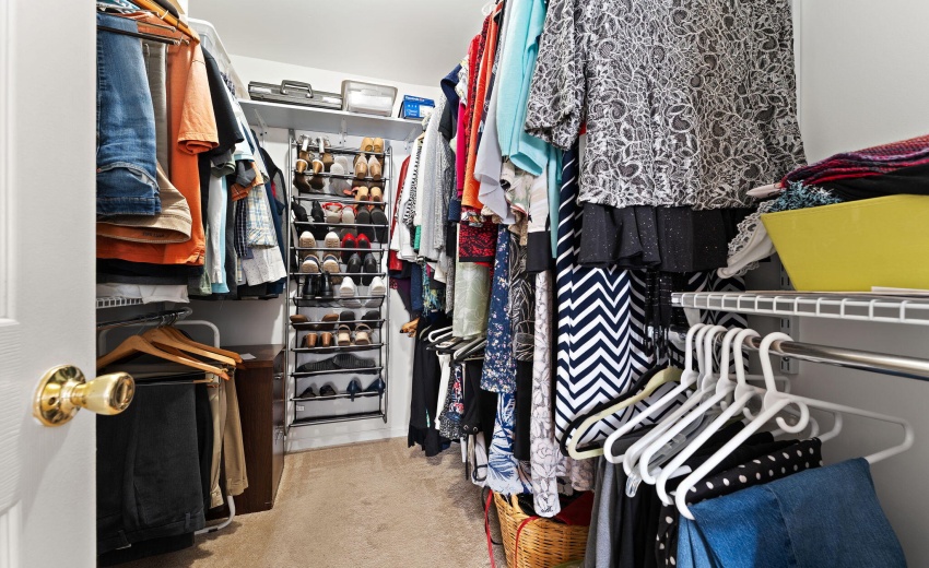 16-web-or-mls-DSC03374