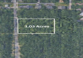 Tbd Union Avenue, Chesterton, Indiana, ,Land,For Sale,Union,NRA833249 Tbd Union Avenue, Chesterton, Indiana, ,Land,For Sale,Union,NRA833249