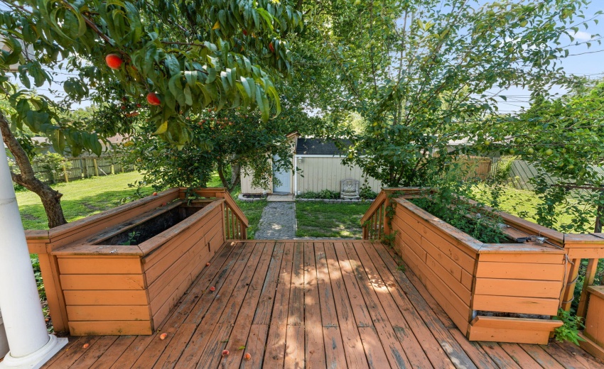 33-web-or-mls-DSC00674