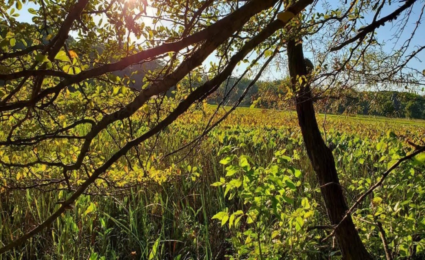 1130 Lakeview Drive - Photo 2