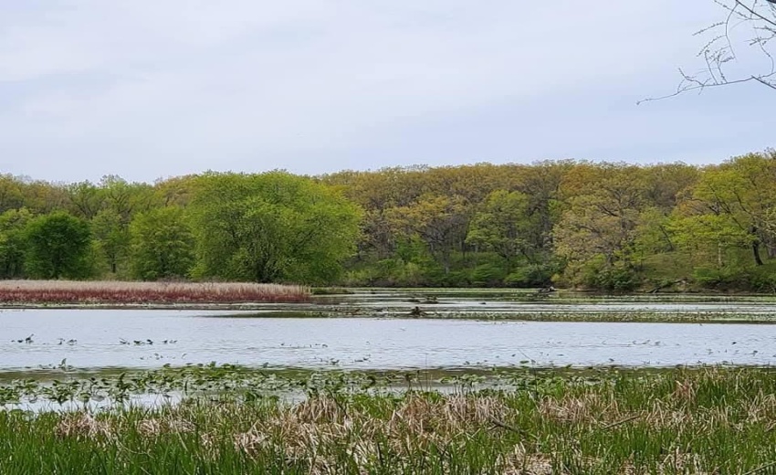 1130 Lakeview Drive - Photo 15