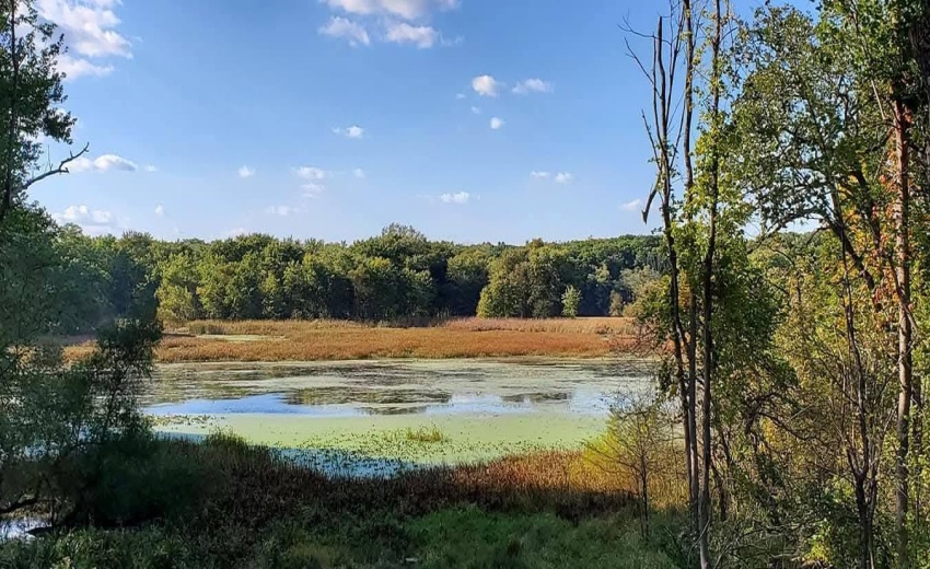 1130 Lakeview Drive - Photo 8