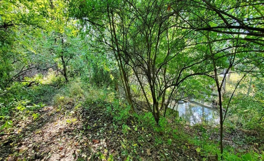 1130 Lakeview Drive - Photo 21