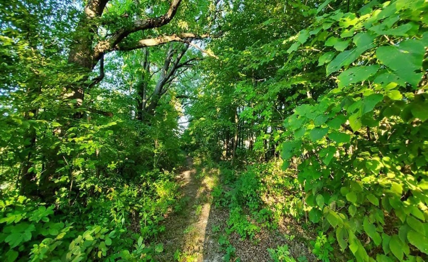 1130 Lakeview Drive - Photo 13