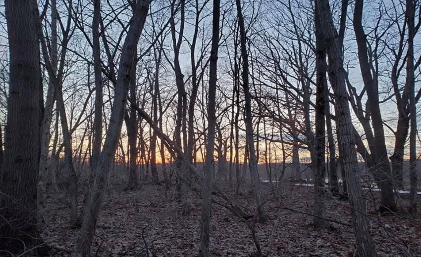 1130 Lakeview Drive - Photo 19