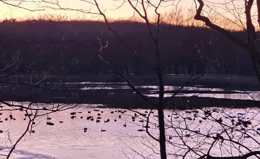 1130 Lakeview Drive - Photo 5