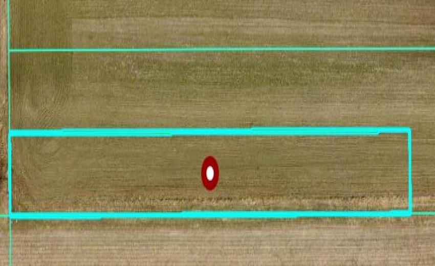 Screenshot 2026-02-02 145725