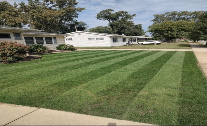 Screenshot_20260209-103656