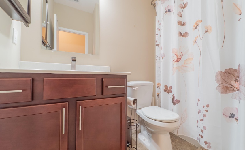 Full Hallway Bathroom