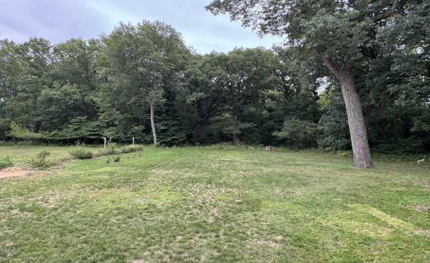 Photo Sep 03 2025, 2 36 55 PM