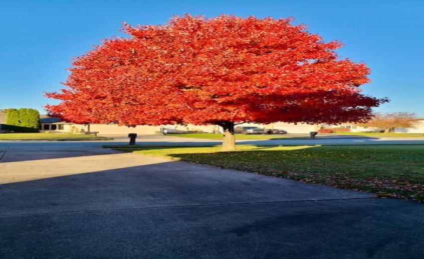 20231111_074921_96277886300666