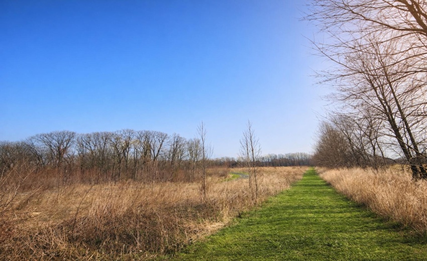 Meadow Trail