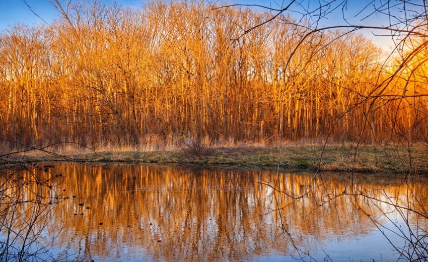 Pond at Avanterra with trails behind