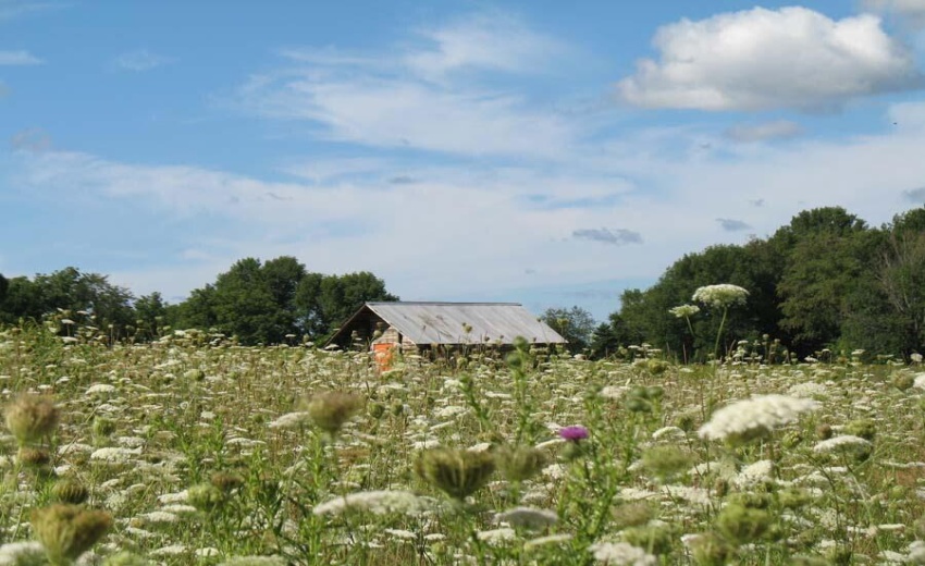 Historic Barn