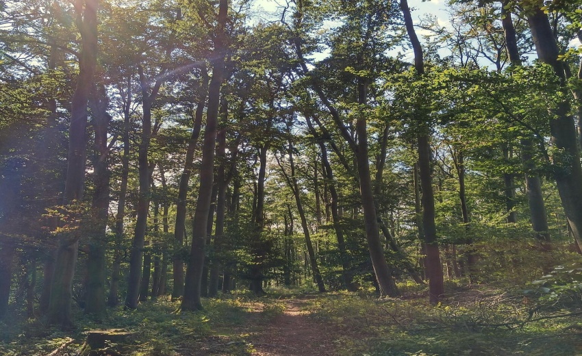 Nature Trails