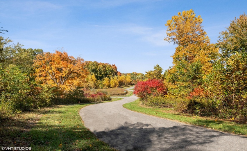 Fall Scape in Avanterra