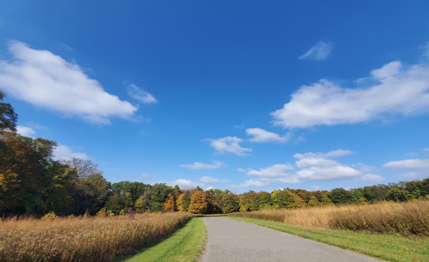 Paved Roads