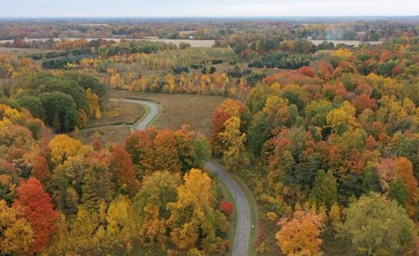N Nature Lane