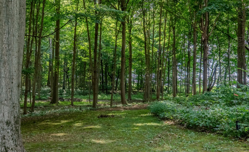 6361 E State Rd 2 DSC01340-HDR