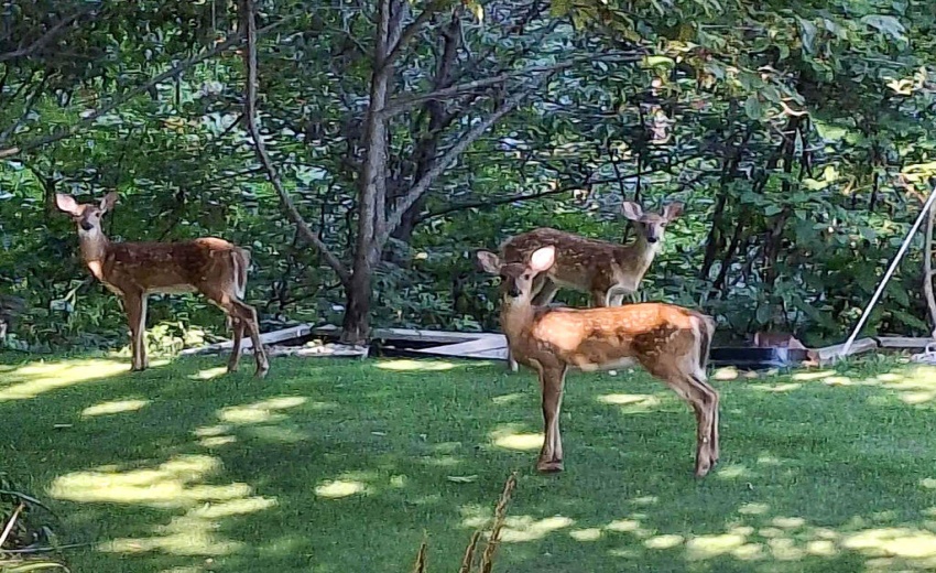 75125852-d490-4c8d-8cca-7dfb67604d5a