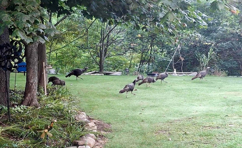 c672a5bb-f979-4e96-93e7-409e9bd03a77