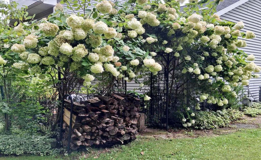 9af684ee-31fb-4a64-affb-fee5294605f7