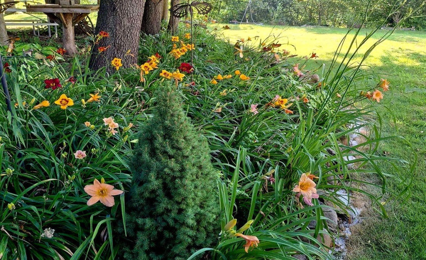 d0a83340-c240-4256-abe9-d38b783310a9