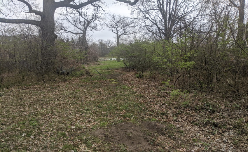 MVIMG_20200423_140039