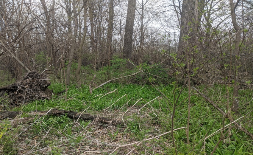 MVIMG_20200423_140035